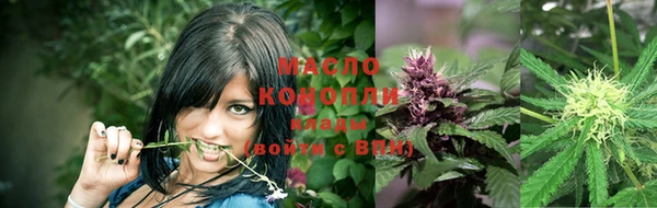 гашик Армянск