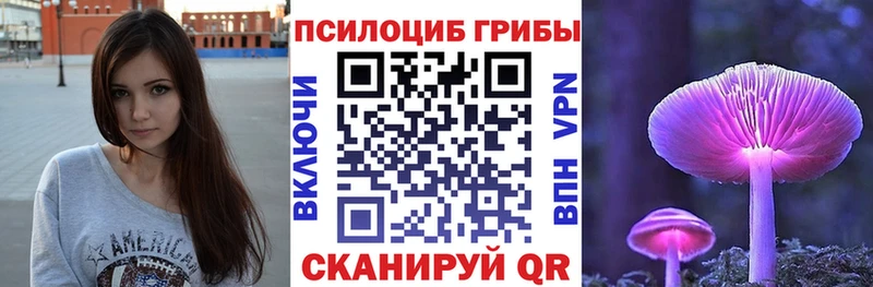 купить наркотик  Закаменск  Псилоцибиновые грибы мицелий 