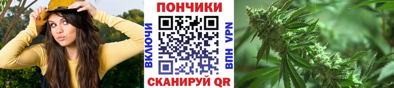 Шишки марихуана THC 21% хочу наркоту Закаменск